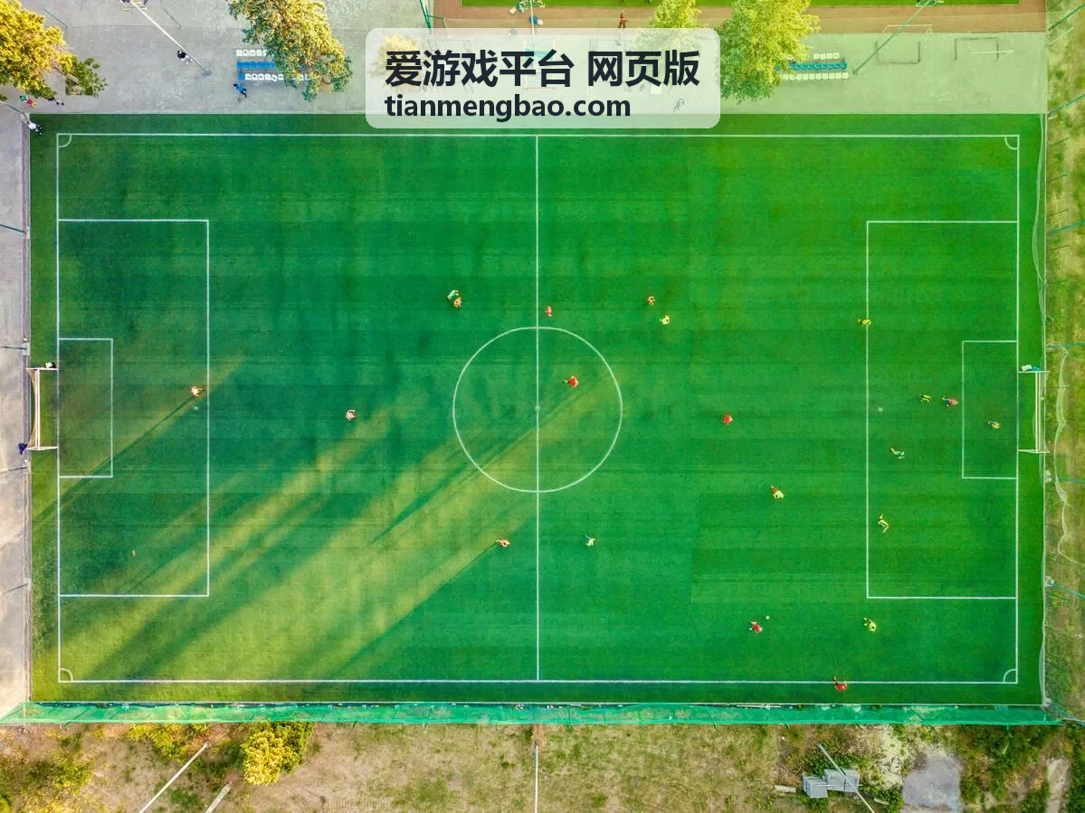 爱游戏平台网页版玩法攻略留言入口背景图