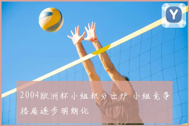 2004欧洲杯小组积分出炉 小组竞争格局逐步明朗化