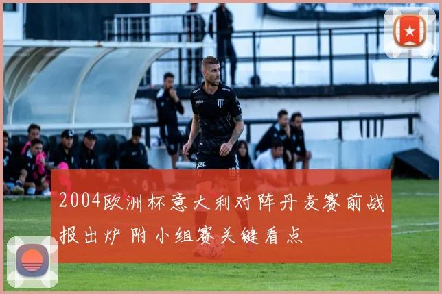 2004欧洲杯意大利对阵丹麦赛前战报出炉 附小组赛关键看点