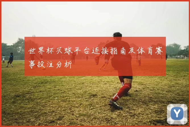 世界杯买球平台连接指南及体育赛事投注分析