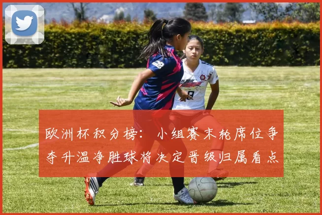 欧洲杯积分榜：小组赛末轮席位争夺升温净胜球将决定晋级归属看点