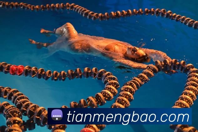 九游体育APP 封面图